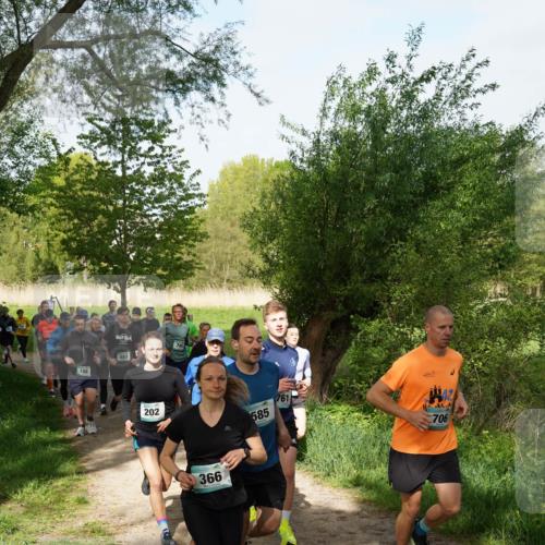 04.05.2025 - 8. Wedeler Halbmarathon Felixshl http://msf.ph/oto/7819363 04.05.2025 10:01:52 Laufen 198, 683, 745, 202, 585, 366, 761, 706 meine-sportfotos.de