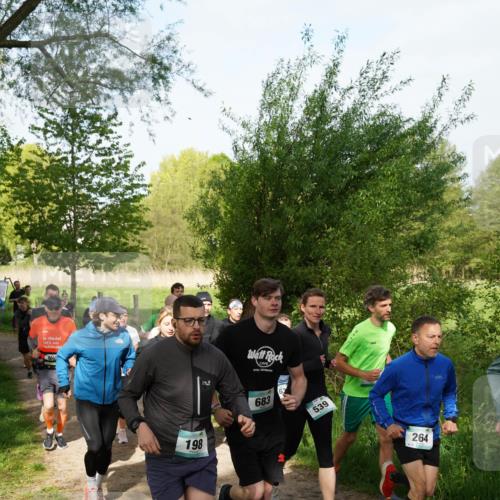 04.05.2025 - 8. Wedeler Halbmarathon Felixshl http://msf.ph/oto/7819387 04.05.2025 10:01:56 Laufen 80, 198, 683, 539, 264 meine-sportfotos.de