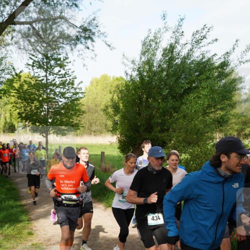 04.05.2025 - 8. Wedeler Halbmarathon Felixshl http://msf.ph/oto/7819393 04.05.2025 10:01:57 Laufen 152, 865, 95, 434 meine-sportfotos.de