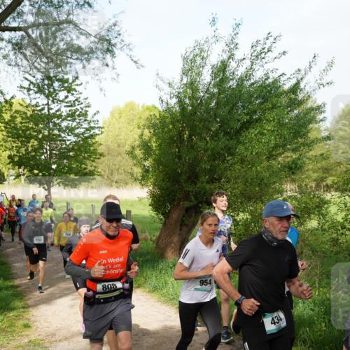 04.05.2025 - 8. Wedeler Halbmarathon Felixshl http://msf.ph/oto/7819397 04.05.2025 10:01:57 Laufen 152, 766, 808, 954, 434 meine-sportfotos.de