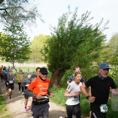 04.05.2025 - 8. Wedeler Halbmarathon Felixshl http://msf.ph/oto/7819399 04.05.2025 10:01:58 Laufen 152, 0, 954, 43 meine-sportfotos.de