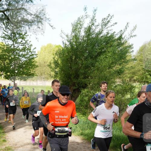 04.05.2025 - 8. Wedeler Halbmarathon Felixshl http://msf.ph/oto/7819400 04.05.2025 10:01:58 Laufen 152, 1, 808, 954 meine-sportfotos.de