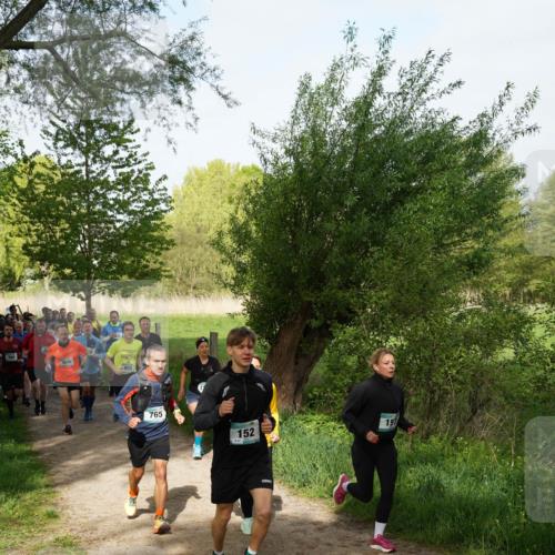 04.05.2025 - 8. Wedeler Halbmarathon Felixshl http://msf.ph/oto/7819429 04.05.2025 10:02:00 Laufen 935, 765, 152, 151 meine-sportfotos.de