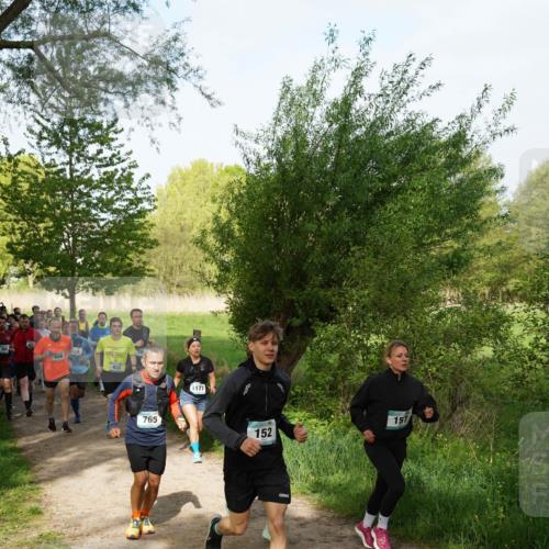 04.05.2025 - 8. Wedeler Halbmarathon Felixshl http://msf.ph/oto/7819431 04.05.2025 10:02:00 Laufen 949, 415, 935, 765, 1177, 152, 157 meine-sportfotos.de