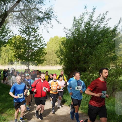 04.05.2025 - 8. Wedeler Halbmarathon Felixshl http://msf.ph/oto/7819444 04.05.2025 10:02:04 Laufen 320, 891, 415, 36 meine-sportfotos.de