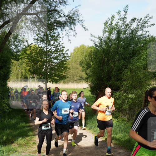 04.05.2025 - 8. Wedeler Halbmarathon Felixshl http://msf.ph/oto/7819494 04.05.2025 10:01:52 Laufen 198, 366, 745, 585, 706, 761 meine-sportfotos.de