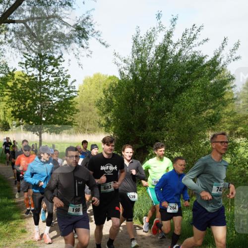 04.05.2025 - 8. Wedeler Halbmarathon Felixshl http://msf.ph/oto/7819506 04.05.2025 10:01:55 Laufen 198, 683, 539, 264, 745 meine-sportfotos.de