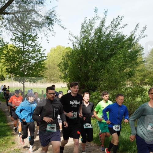 04.05.2025 - 8. Wedeler Halbmarathon Felixshl http://msf.ph/oto/7819507 04.05.2025 10:01:56 Laufen 80, 198, 83, 539, 264, 74 meine-sportfotos.de