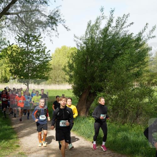 04.05.2025 - 8. Wedeler Halbmarathon Felixshl http://msf.ph/oto/7819518 04.05.2025 10:01:59 Laufen 949, 415, 765, 152 meine-sportfotos.de