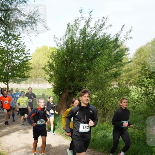 04.05.2025 - 8. Wedeler Halbmarathon Felixshl http://msf.ph/oto/7819522 04.05.2025 10:02:00 Laufen 115, 949, 325, 935, 765, 152 meine-sportfotos.de