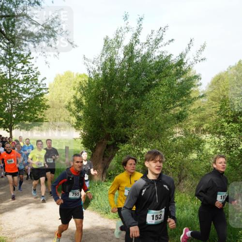 04.05.2025 - 8. Wedeler Halbmarathon Felixshl http://msf.ph/oto/7819523 04.05.2025 10:02:00 Laufen 949, 35, 765, 87, 152, 151 meine-sportfotos.de