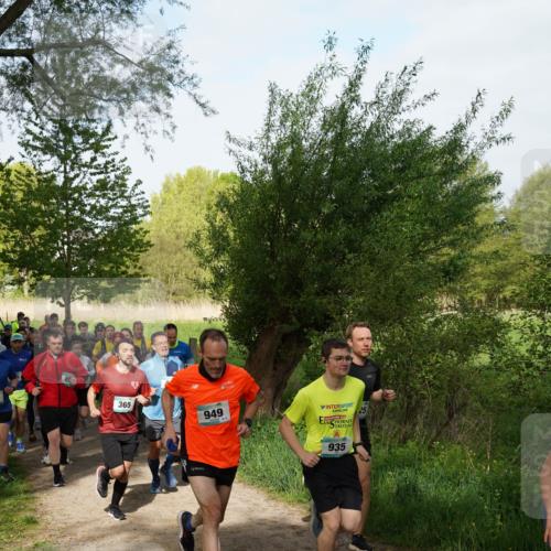 04.05.2025 - 8. Wedeler Halbmarathon Felixshl http://msf.ph/oto/7819528 04.05.2025 10:02:02 Laufen 365, 949, 935 meine-sportfotos.de