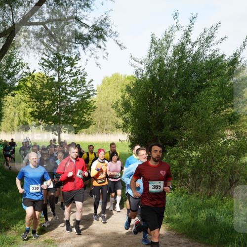 04.05.2025 - 8. Wedeler Halbmarathon Felixshl http://msf.ph/oto/7819530 04.05.2025 10:02:03 Laufen 320, 365 meine-sportfotos.de