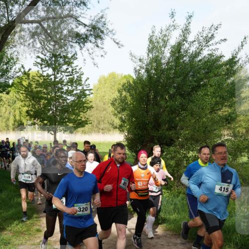 04.05.2025 - 8. Wedeler Halbmarathon Felixshl http://msf.ph/oto/7819534 04.05.2025 10:02:04 Laufen 1128, 320, 710, 415 meine-sportfotos.de