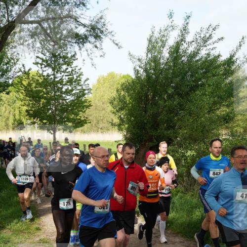 04.05.2025 - 8. Wedeler Halbmarathon Felixshl http://msf.ph/oto/7819535 04.05.2025 10:02:04 Laufen 1128, 175, 20, 891, 842, 41 meine-sportfotos.de