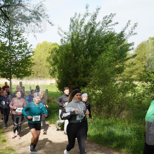04.05.2025 - 8. Wedeler Halbmarathon Felixshl http://msf.ph/oto/7819557 04.05.2025 10:02:13 Laufen 200, 120, 725, 726 meine-sportfotos.de