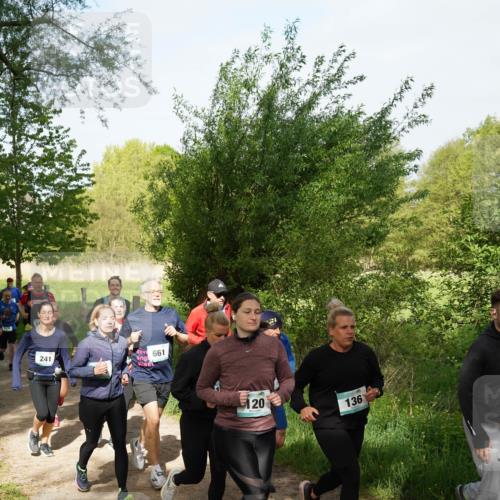 04.05.2025 - 8. Wedeler Halbmarathon Felixshl http://msf.ph/oto/7819563 04.05.2025 10:02:15 Laufen 174, 241, 661, 120, 136 meine-sportfotos.de