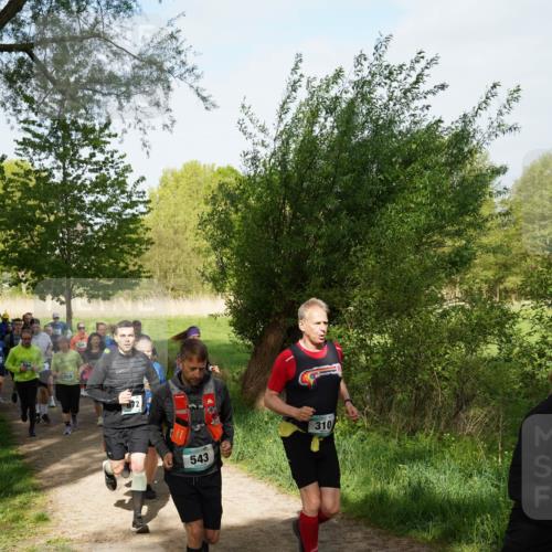 04.05.2025 - 8. Wedeler Halbmarathon Felixshl http://msf.ph/oto/7819572 04.05.2025 10:02:18 Laufen 829, 543, 310 meine-sportfotos.de