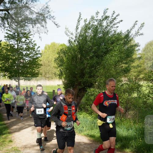 04.05.2025 - 8. Wedeler Halbmarathon Felixshl http://msf.ph/oto/7819574 04.05.2025 10:02:18 Laufen 829, 872, 543, 310 meine-sportfotos.de