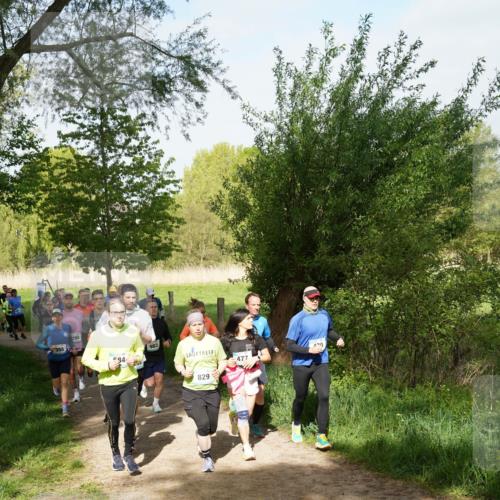 04.05.2025 - 8. Wedeler Halbmarathon Felixshl http://msf.ph/oto/7819580 04.05.2025 10:02:20 Laufen 94, 983, 829, 477, 170 meine-sportfotos.de