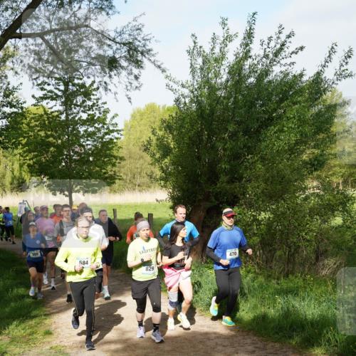 04.05.2025 - 8. Wedeler Halbmarathon Felixshl http://msf.ph/oto/7819581 04.05.2025 10:02:20 Laufen 355, 584, 829, 470 meine-sportfotos.de