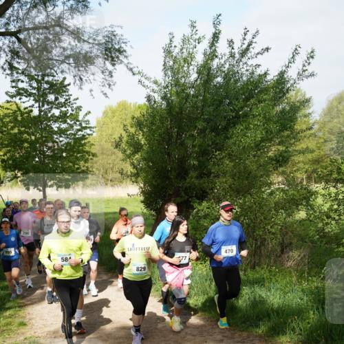 04.05.2025 - 8. Wedeler Halbmarathon Felixshl http://msf.ph/oto/7819583 04.05.2025 10:02:21 Laufen 355, 290, 58, 829, 477, 470 meine-sportfotos.de