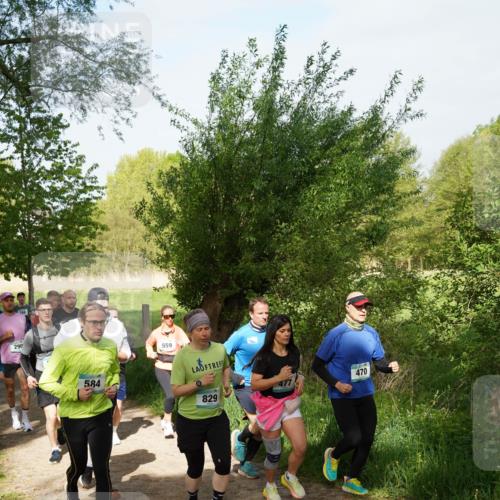 04.05.2025 - 8. Wedeler Halbmarathon Felixshl http://msf.ph/oto/7819585 04.05.2025 10:02:21 Laufen 290, 584, 559, 829, 470 meine-sportfotos.de
