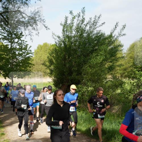 04.05.2025 - 8. Wedeler Halbmarathon Felixshl http://msf.ph/oto/7819600 04.05.2025 10:02:25 Laufen 291, 1196, 168, 216, 960 meine-sportfotos.de