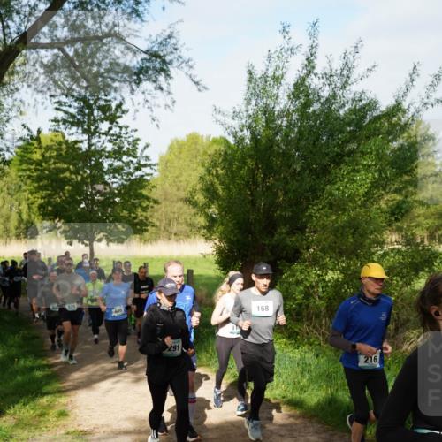 04.05.2025 - 8. Wedeler Halbmarathon Felixshl http://msf.ph/oto/7819601 04.05.2025 10:02:26 Laufen 629, 605, 291, 168, 216 meine-sportfotos.de