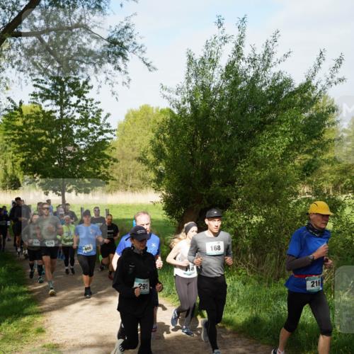 04.05.2025 - 8. Wedeler Halbmarathon Felixshl http://msf.ph/oto/7819602 04.05.2025 10:02:26 Laufen 849, 849, 629, 605, 291, 168, 216 meine-sportfotos.de