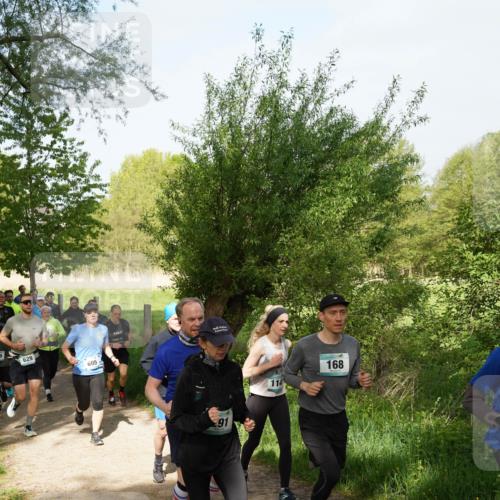 04.05.2025 - 8. Wedeler Halbmarathon Felixshl http://msf.ph/oto/7819605 04.05.2025 10:02:26 Laufen 6, 629, 605, 114, 168 meine-sportfotos.de
