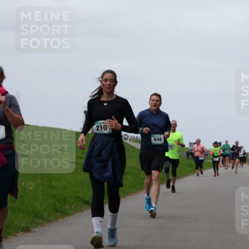 04.05.2025 - 8. Wedeler Halbmarathon Yannick Fuchs http://msf.ph/oto/7821321 04.05.2025 11:28:20 Laufen 14, 210, 648, 20 meine-sportfotos.de