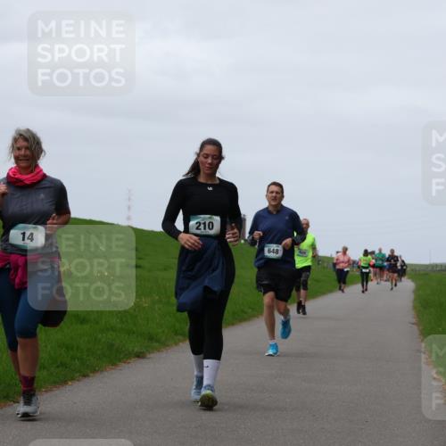 04.05.2025 - 8. Wedeler Halbmarathon Yannick Fuchs http://msf.ph/oto/7821351 04.05.2025 11:28:21 Laufen 14, 210, 648, 620 meine-sportfotos.de