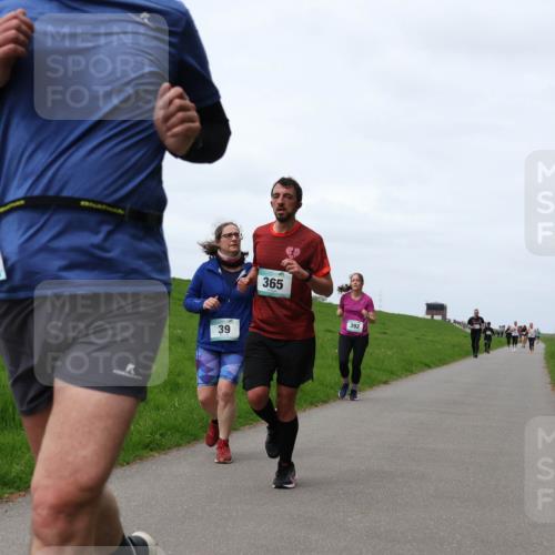 04.05.2025 - 8. Wedeler Halbmarathon Yannick Fuchs http://msf.ph/oto/7822885 04.05.2025 11:29:54 Laufen 38, 39, 365, 392 meine-sportfotos.de