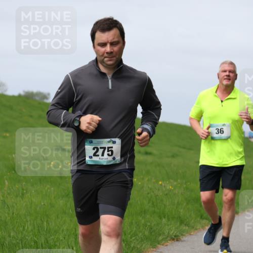 04.05.2025 - 8. Wedeler Halbmarathon Yannick Fuchs http://msf.ph/oto/7826110 04.05.2025 11:55:18 Laufen 275, 36 meine-sportfotos.de