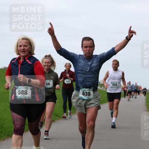 04.05.2025 - 8. Wedeler Halbmarathon Yannick Fuchs http://msf.ph/oto/7826225 04.05.2025 11:33:15 Laufen 588, 66, 668, 639, 558 meine-sportfotos.de