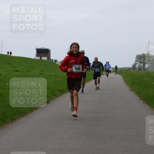 04.05.2025 - 8. Wedeler Halbmarathon Yannick Fuchs http://msf.ph/oto/7828551 04.05.2025 11:16:17 Laufen 509, 1038, 2 meine-sportfotos.de