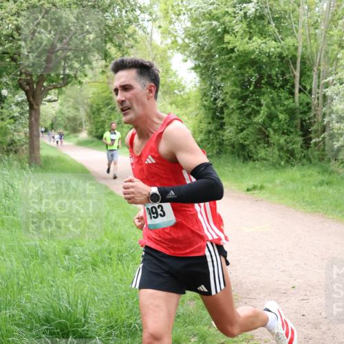 04.05.2025 - 8. Wedeler Halbmarathon Lena Gebhardt http://msf.ph/oto/7831506 04.05.2025 11:18:07 Laufen 66, 93, 02, 2, 193 meine-sportfotos.de