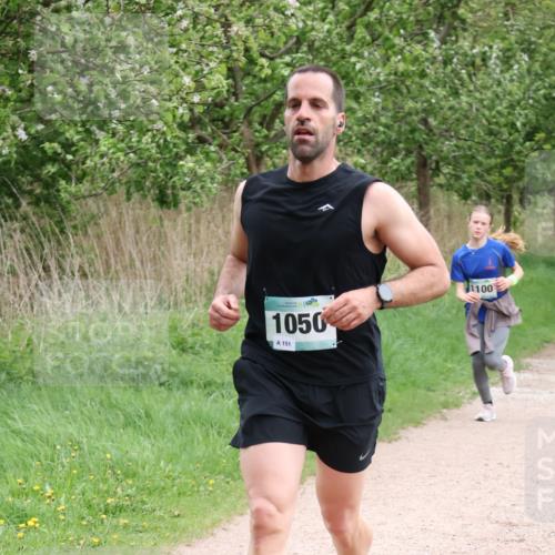 04.05.2025 - 8. Wedeler Halbmarathon Lena Gebhardt http://msf.ph/oto/7831710 04.05.2025 11:18:37 Laufen 1050, 151, 1100 meine-sportfotos.de