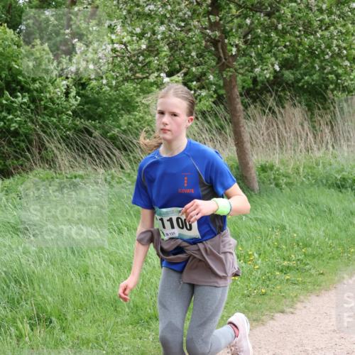 04.05.2025 - 8. Wedeler Halbmarathon Lena Gebhardt http://msf.ph/oto/7831747 04.05.2025 11:18:41 Laufen 1100, 131 meine-sportfotos.de