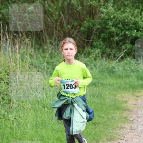 04.05.2025 - 8. Wedeler Halbmarathon Lena Gebhardt http://msf.ph/oto/7832192 04.05.2025 11:19:34 Laufen 1203 meine-sportfotos.de