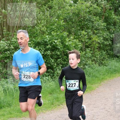 04.05.2025 - 8. Wedeler Halbmarathon Lena Gebhardt http://msf.ph/oto/7832344 04.05.2025 11:19:50 Laufen 106, 228, 8154, 227 meine-sportfotos.de