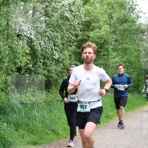 04.05.2025 - 8. Wedeler Halbmarathon Lena Gebhardt http://msf.ph/oto/7832577 04.05.2025 11:20:13 Laufen 642, 957, 973 meine-sportfotos.de