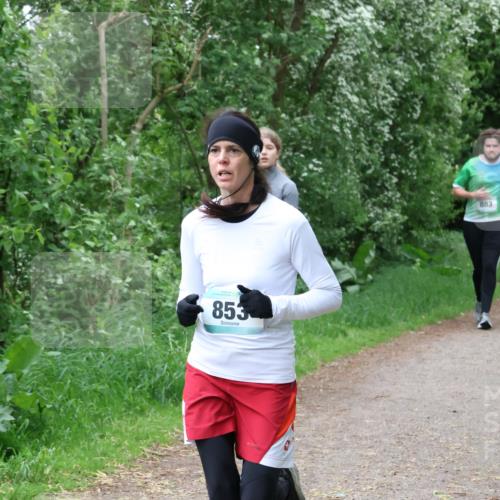 04.05.2025 - 8. Wedeler Halbmarathon Lena Gebhardt http://msf.ph/oto/7832751 04.05.2025 11:20:33 Laufen 853, 883 meine-sportfotos.de