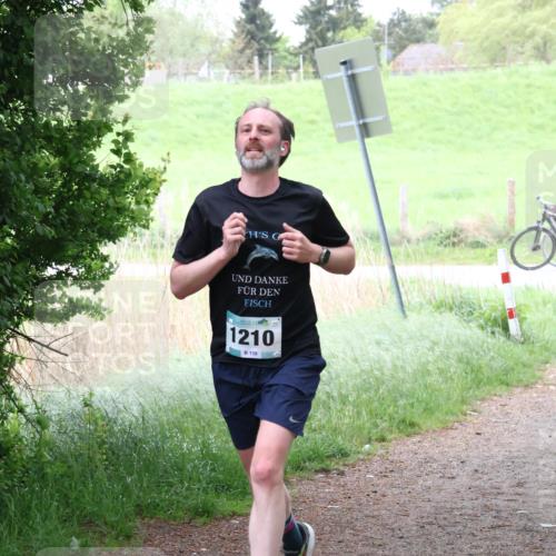 04.05.2025 - 8. Wedeler Halbmarathon Lena Gebhardt http://msf.ph/oto/7832996 04.05.2025 11:20:58 Laufen 1210, 139 meine-sportfotos.de