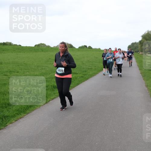 04.05.2025 - 8. Wedeler Halbmarathon Lena Gebhardt http://msf.ph/oto/7833918 04.05.2025 11:23:22 Laufen 1020, 594, 593 meine-sportfotos.de