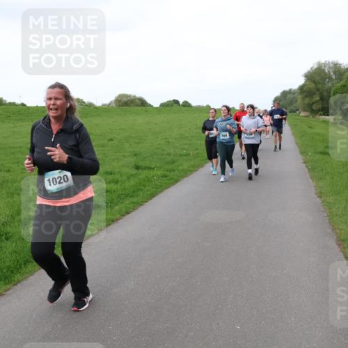 04.05.2025 - 8. Wedeler Halbmarathon Lena Gebhardt http://msf.ph/oto/7833926 04.05.2025 11:23:23 Laufen 1020, 594 meine-sportfotos.de