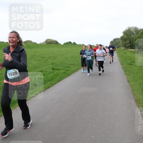 04.05.2025 - 8. Wedeler Halbmarathon Lena Gebhardt http://msf.ph/oto/7833931 04.05.2025 11:23:23 Laufen 1020, 594, 59 meine-sportfotos.de