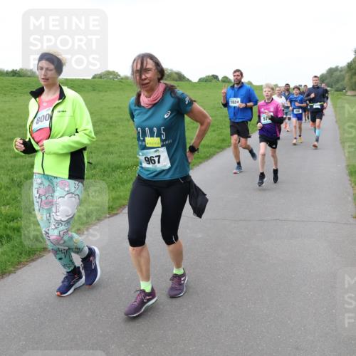 04.05.2025 - 8. Wedeler Halbmarathon Lena Gebhardt http://msf.ph/oto/7834013 04.05.2025 11:23:30 Laufen 800, 2025, 967, 1024, 57 meine-sportfotos.de