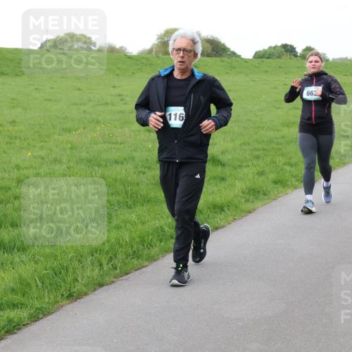 04.05.2025 - 8. Wedeler Halbmarathon Lena Gebhardt http://msf.ph/oto/7834154 04.05.2025 11:23:38 Laufen 116, 663 meine-sportfotos.de